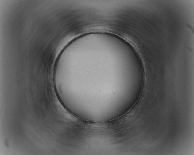 X0000103241392200809111546