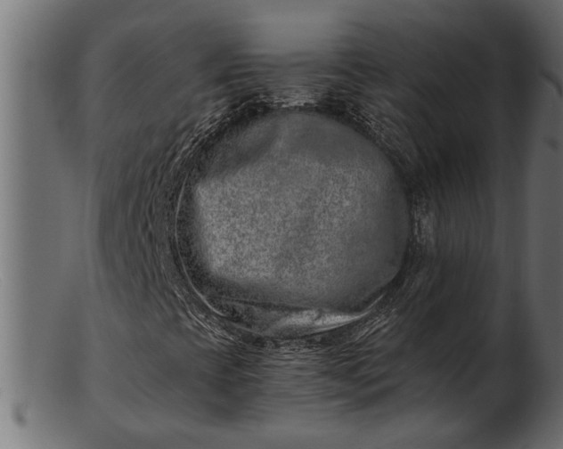 X0000103241393200809111546