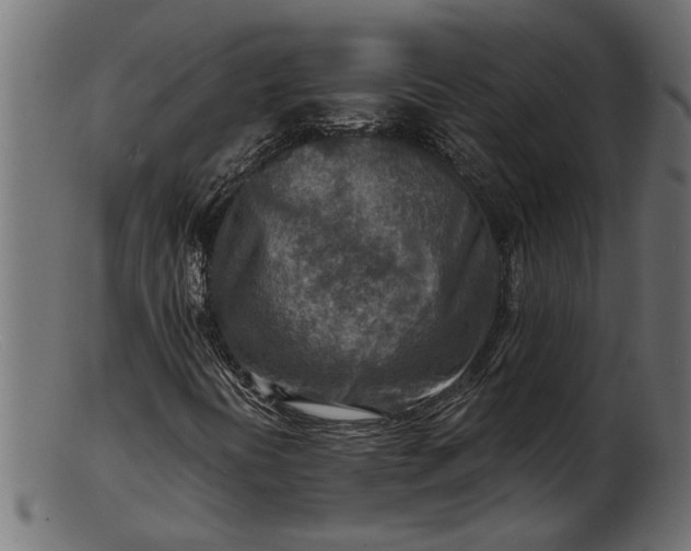 X0000103241394200809111546