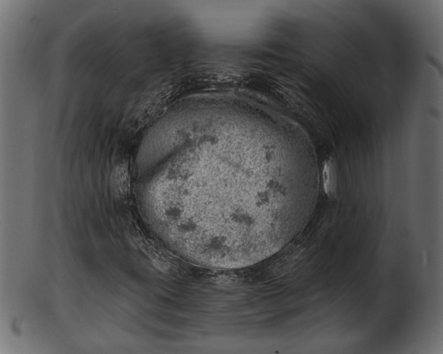 X0000103241395200809111546