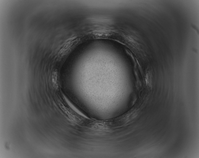 X0000103241396200809111546