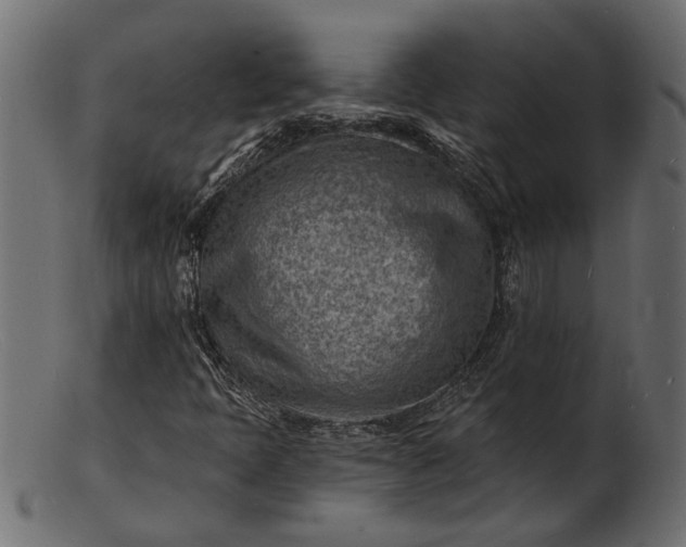 X0000103241397200809111546