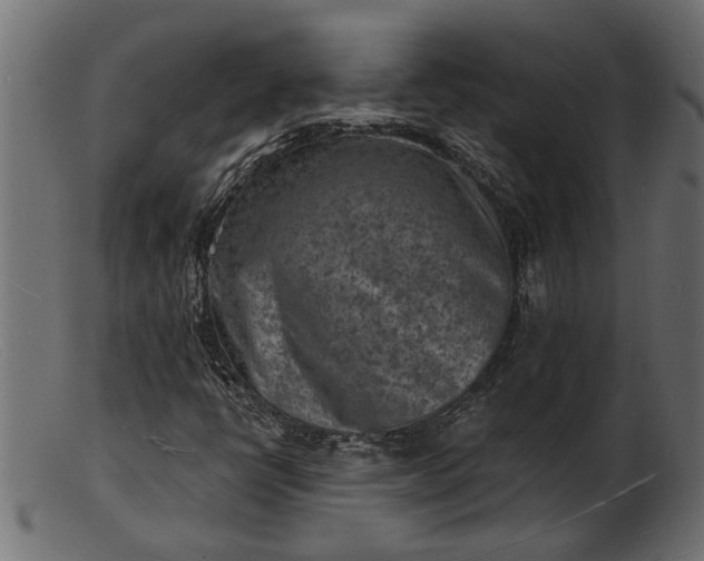 X0000103241398200809111546