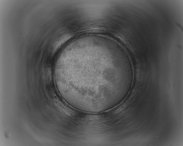 X0000103241402200809111546