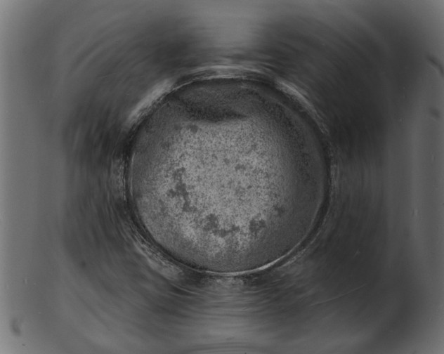 X0000103241403200809111546