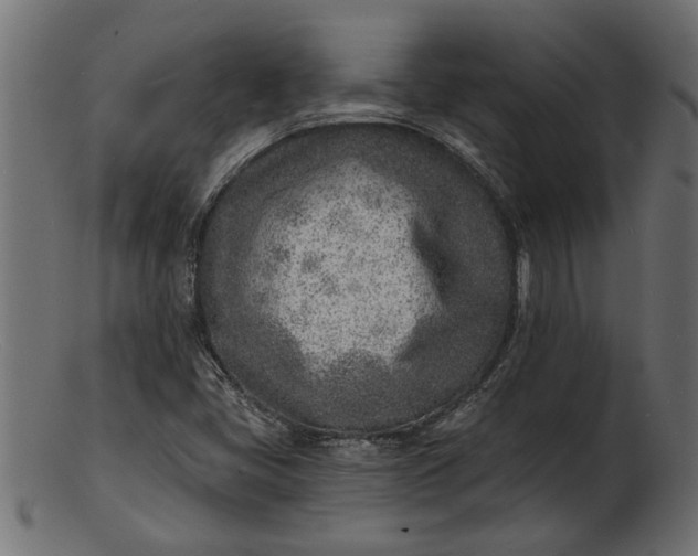 X0000103241405200809111546