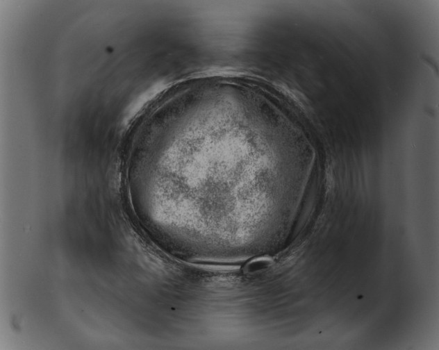 X0000103241406200809111546