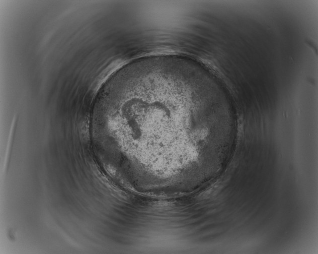 X0000103241409200809111546