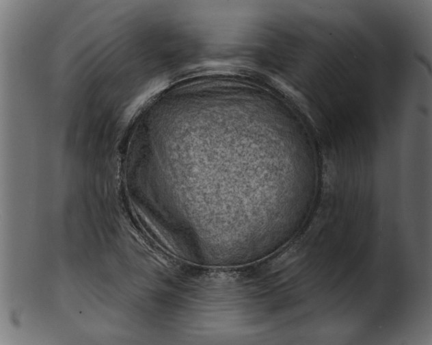 X0000103241411200809111546