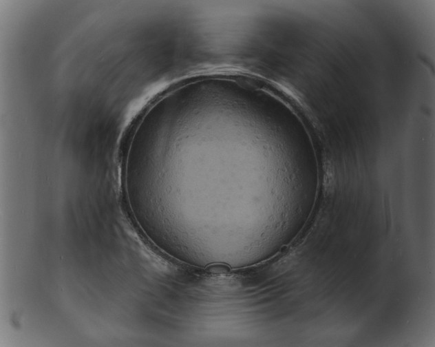 X0000103241414200809111546