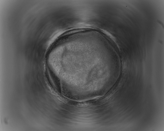 X0000103241415200809111546