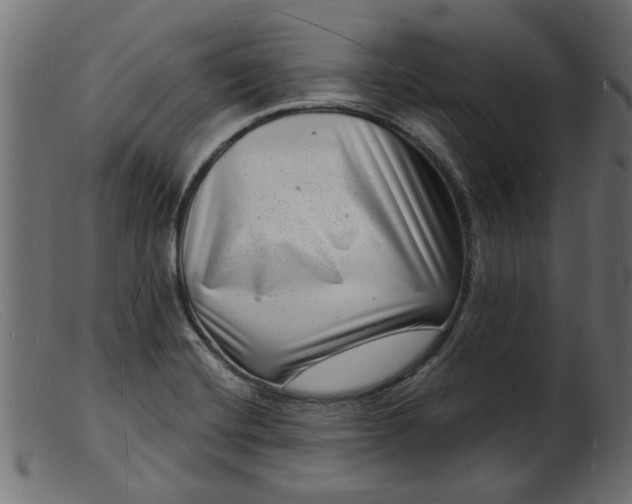 X0000103241420200809111546