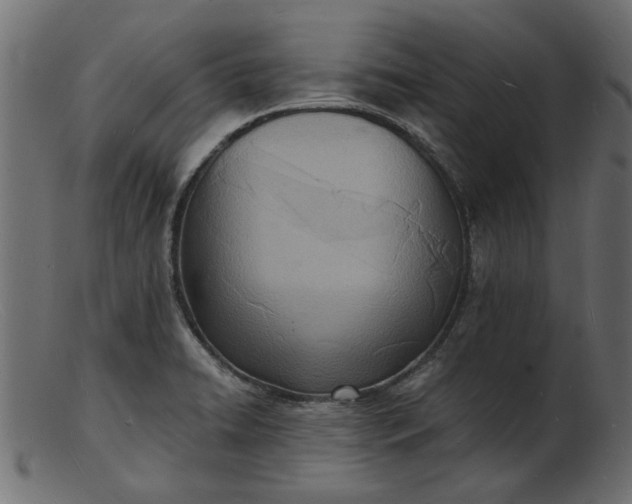 X0000103241422200809111546