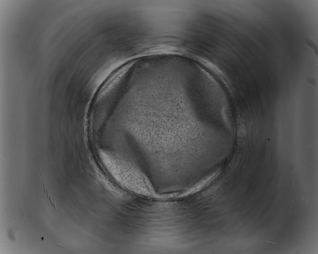 X0000103241423200809111546