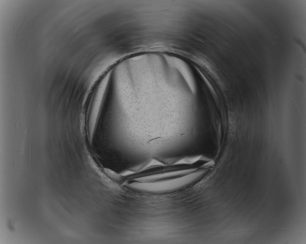 X0000103241424200809111546