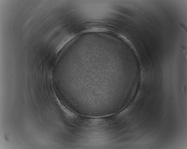 X0000103241425200809111546