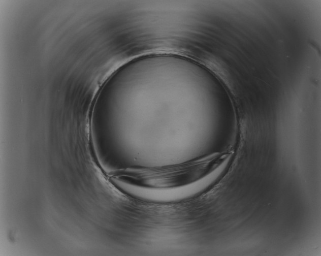 X0000103241428200809111546