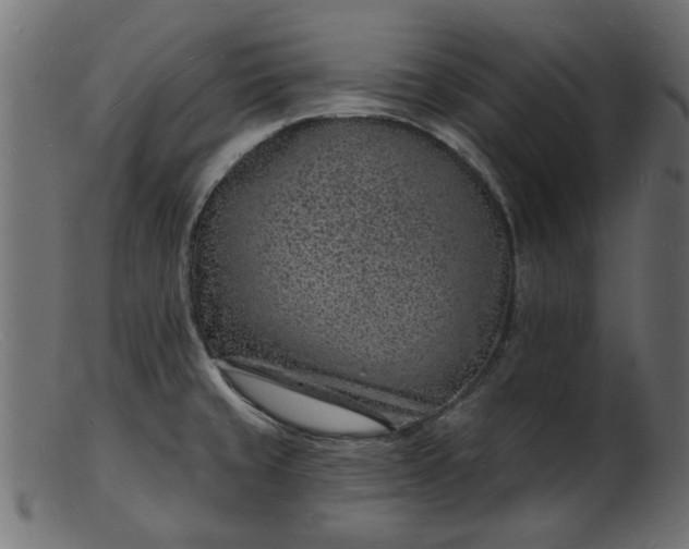 X0000103241429200809111546