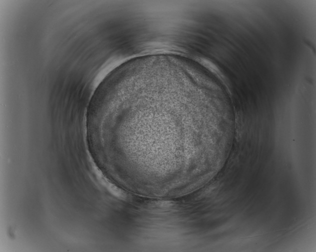 X0000103241431200809111546