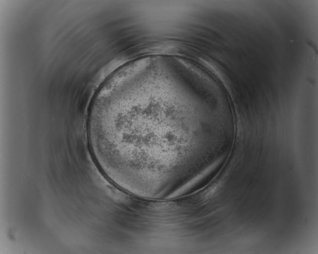 X0000103241434200809111546