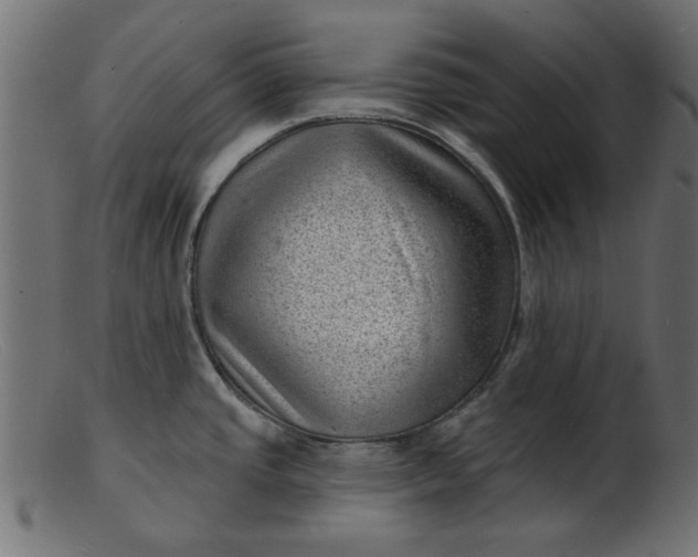 X0000103241437200809111546