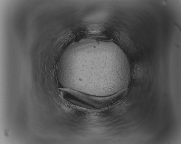 X0000103241441200809111546