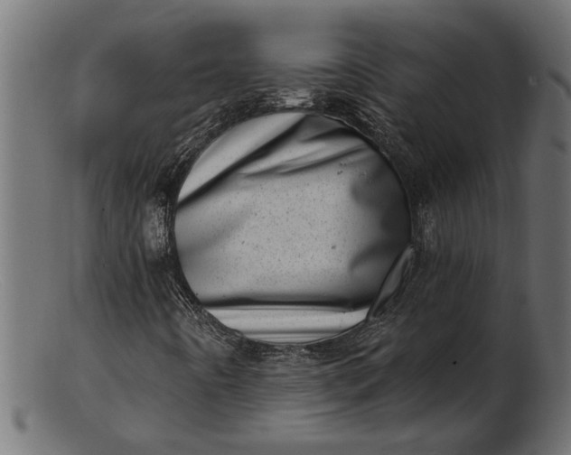 X0000103241442200809111546