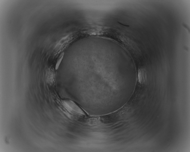 X0000103241444200809111546