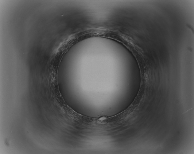 X0000103241447200809111546