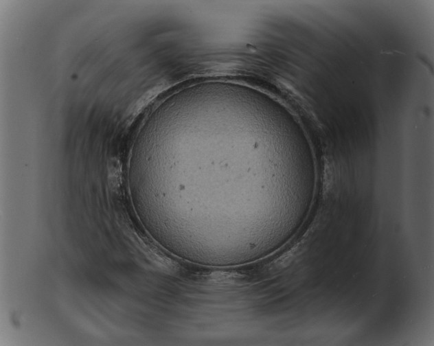 X0000103241449200809111546