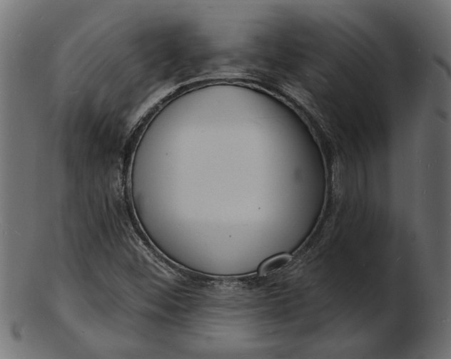 X0000103241452200809111546