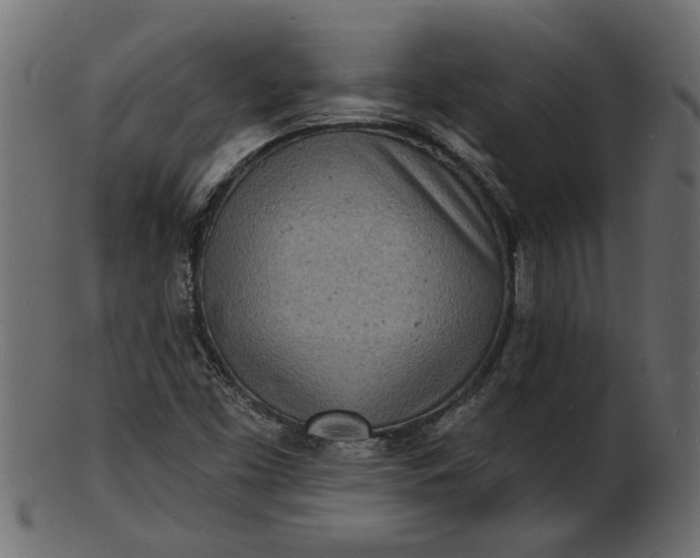 X0000103241453200809111546