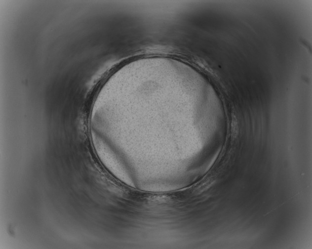 X0000103241454200809111546