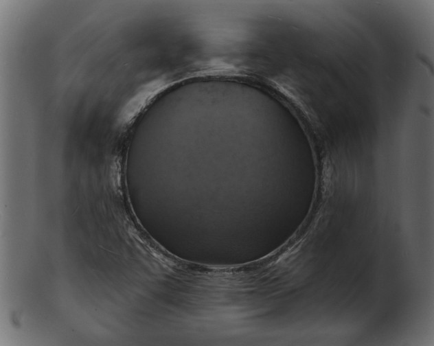 X0000103241455200809111546