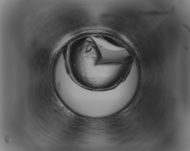 X0000103241456200809111545