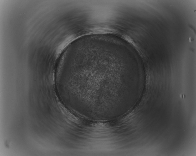 X0000103241459200809111545