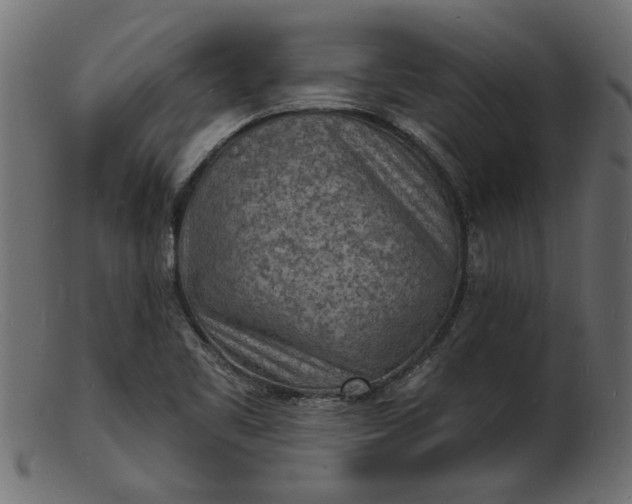 X0000103241461200809111545