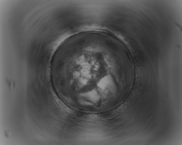 X0000103241463200809111545