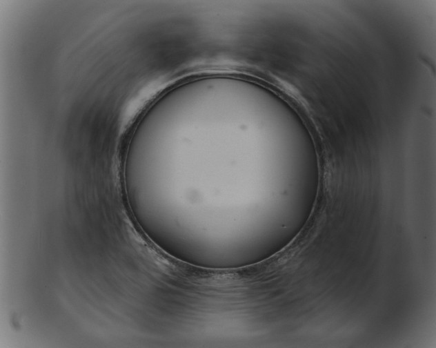 X0000103241464200809111545