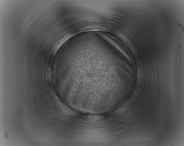 X0000103241465200809111545