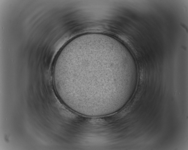 X0000103241466200809111545