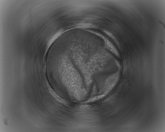 X0000103241467200809111545