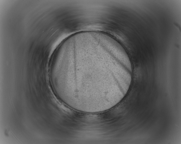 X0000103241470200809111545