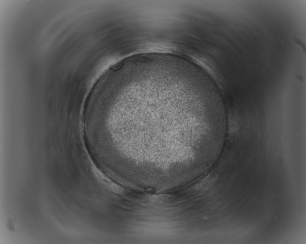 X0000103241471200809111545