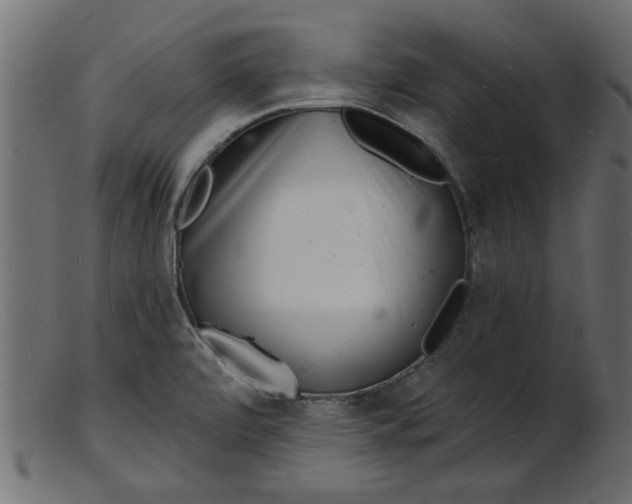 X0000103241472200809111545