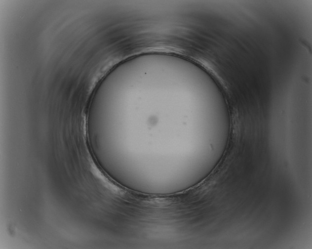 X0000103241476200809111545