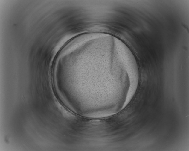 X0000103241478200809111545