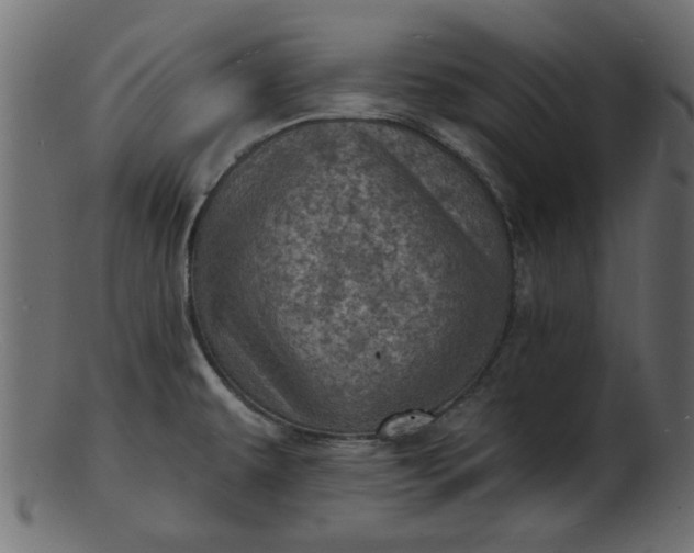 X0000103241479200809111545