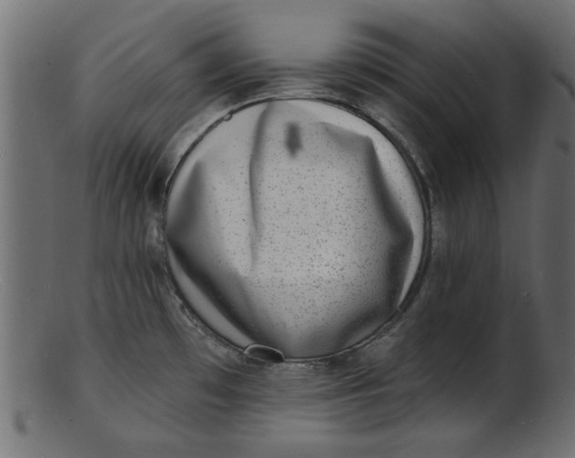 X0000103241481200809111545