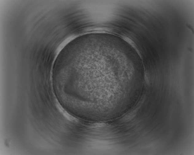 X0000103241482200809111545